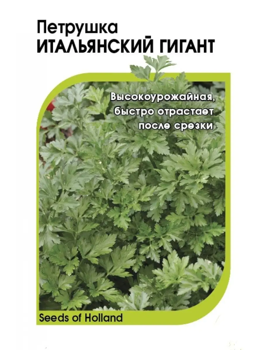 Семена петрушки Smart Garden 57916184 купить за 78 ₽ в интернет-магазине  Wildberries