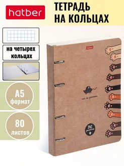 Тетрадь на кольцах 80 листов Слим-картон Hatber 57927718 купить за 269 ₽ в интернет-магазине Wildberries