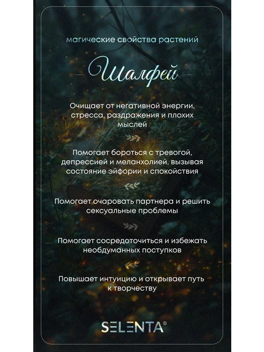 Selenta Эфирное масло Шалфея Лекар. Водорастворимое 30мл, 30 мл, фото 3