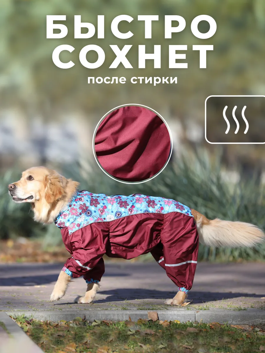 Одежда и обувь для собак: выгодно купить в zoochic