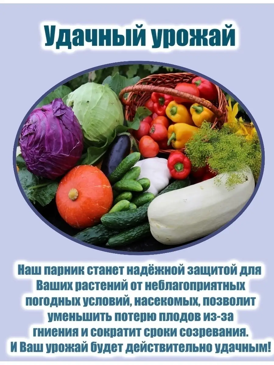 Садовый парник для дачи урожайный Отличный урожай 58141614 купить в  интернет-магазине Wildberries