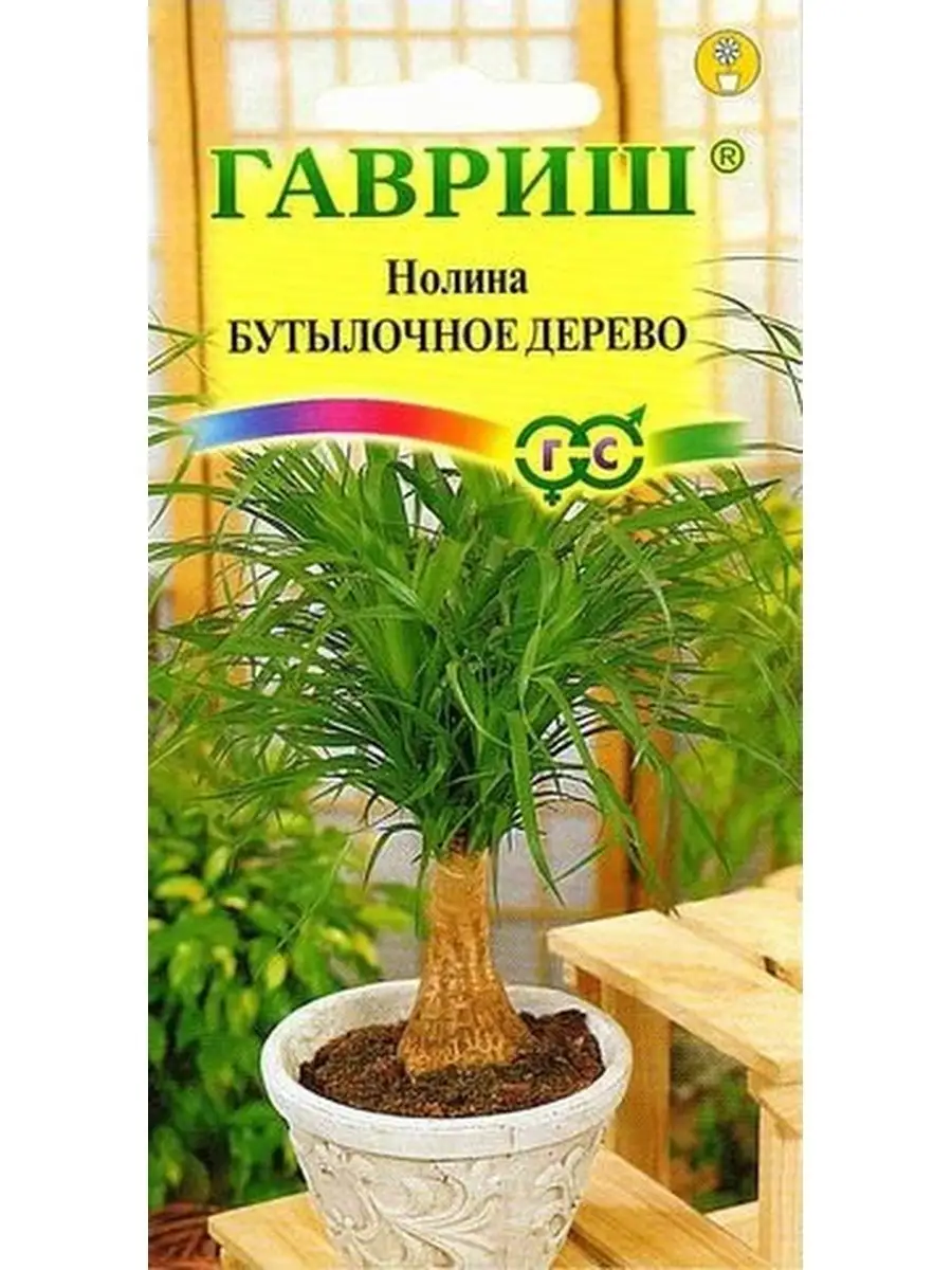 Семена НОЛИНА (БУТЫЛОЧНОЕ ДЕРЕВО) ДАЧА ОНЛАЙН 58196937 купить за 167 ₽ в  интернет-магазине Wildberries