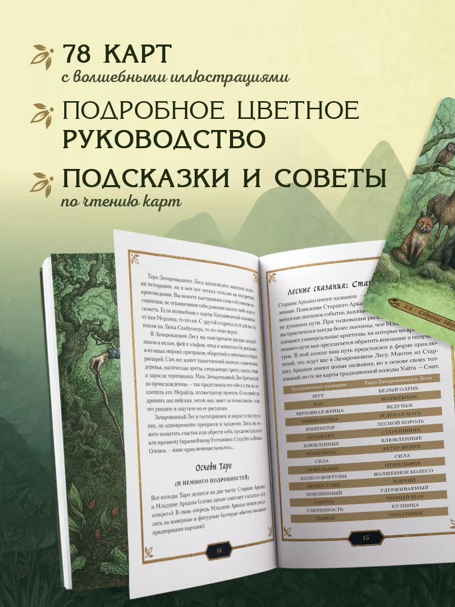 Таро Зачарованного леса (78 карт и руководство) Эксмо 58250755 купить за 2  089 ₽ в интернет-магазине Wildberries