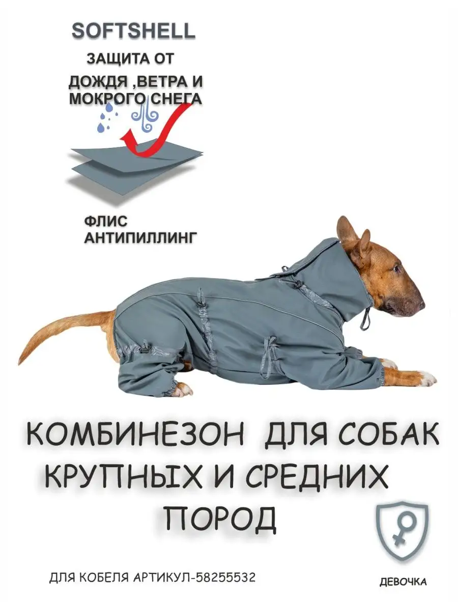 Комбинезон для собак Softshell(сука) DOGMODA 58259145 купить за 2 843 ₽ в  интернет-магазине Wildberries