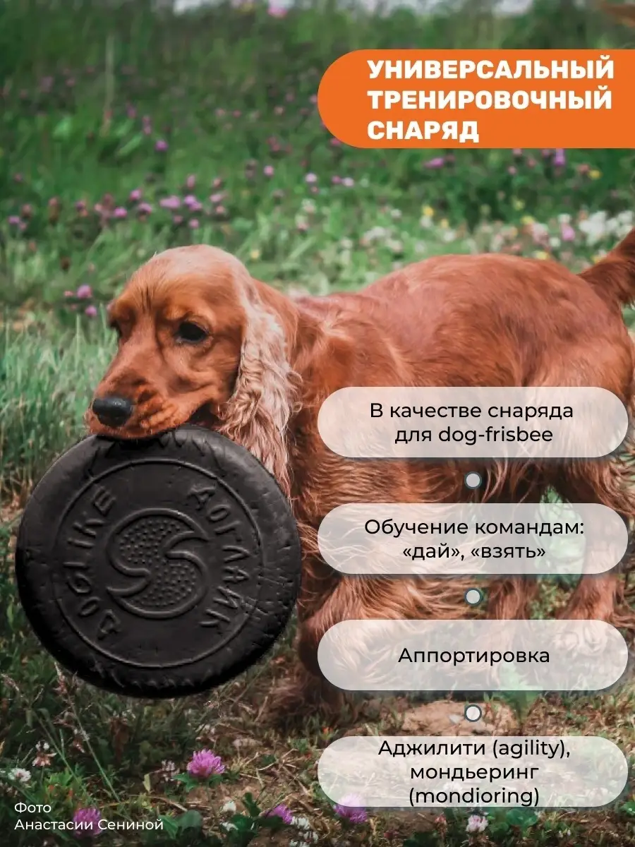 Набор Фрисби для собак. ср., Doglike 2шт DOGLIKE 58295906 купить за 1 008 ₽  в интернет-магазине Wildberries