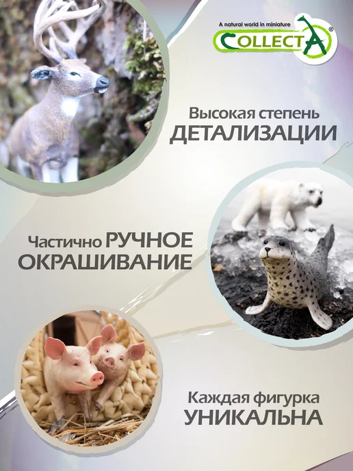 Collecta Фигурка животного Барсук, черный, фото 5