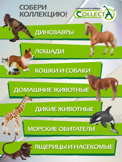 Collecta Фигурка животного Барсук, черный, фото 6