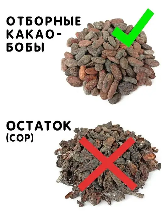 Здоровая Семья от А до Я Какао-бобы целые необжаренные, сорт Форастеро, 200 г, 200 г, фото 4