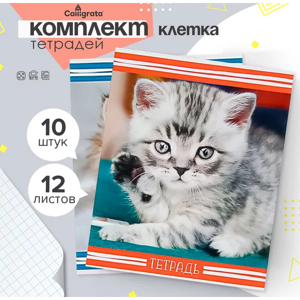 Тетради для школы, 10 штук, 12 листов в клетку