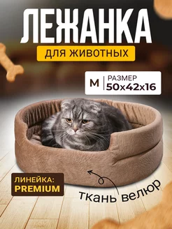 Лежанка для Собак и Кошек Средних, Велюр Mad Lion 58438108 купить за 851 ₽ в интернет-магазине Wildberries