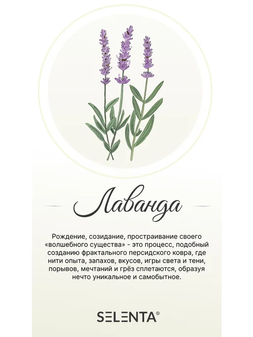 Selenta Эфирное масло Лаванды Водорастворимое 30мл, 10 мл, фото 4