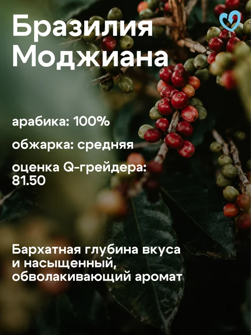 Стрелка кофе Кофе в зернах 1 кг арабика 100% свежеобжаренный бразильский, 1 кг, фото 4