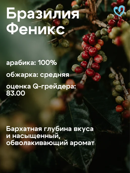 Стрелка кофе Кофе в зернах 1 кг арабика 100% свежеобжаренный бразильский, 1 кг, фото 4