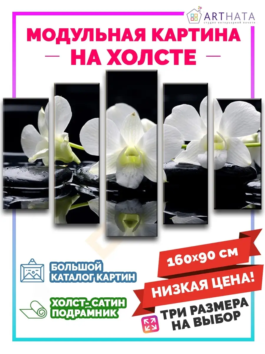Картина на стену модульная Цветы, орхидея, камни 160х90