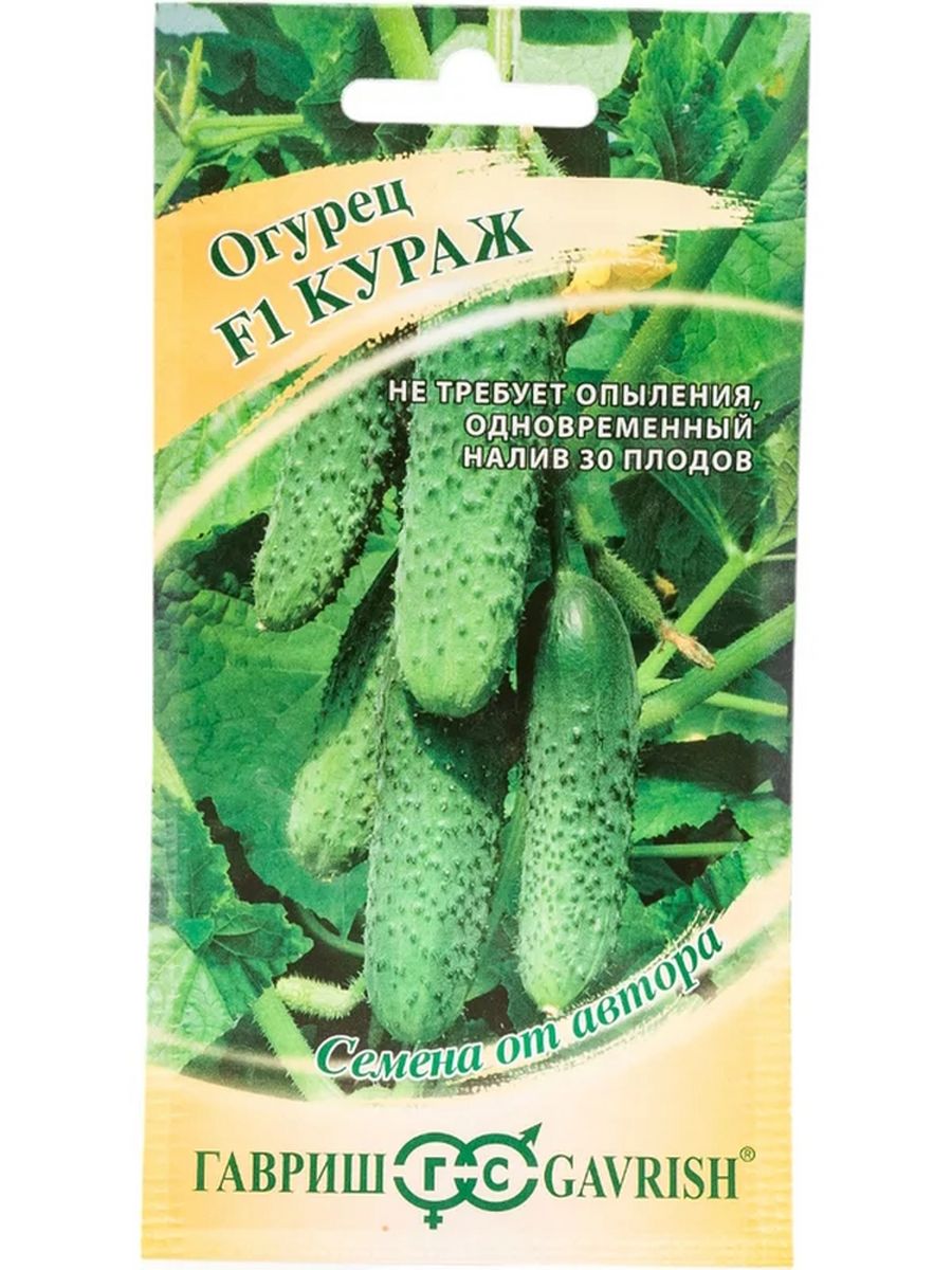 Кураж огурцы отзывы для открытого. Огурцы Кураж. Огурец Кураж f1. Семена огурцов Кураж. Семена огурцов Кураж для детей.