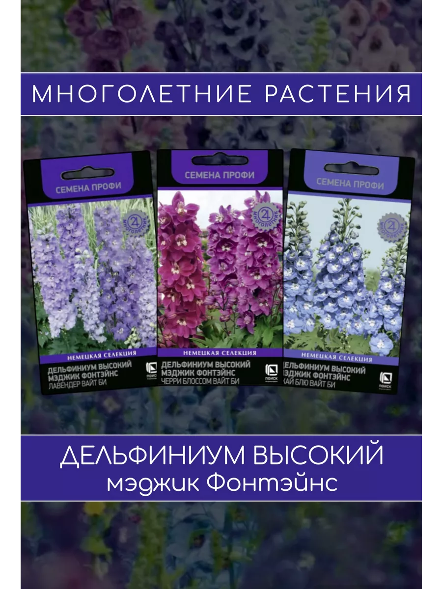 Дельфиниум высокий мэджик Фонтэйнс 3уп