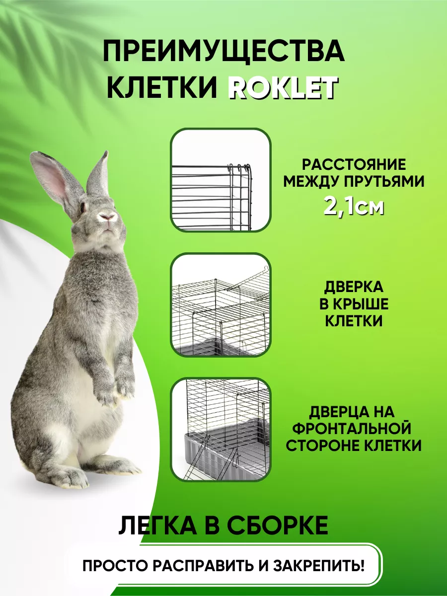 Статья 23 Выбор клетки для декоративных кроликов
