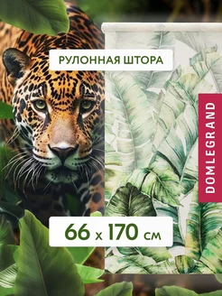 Рулонные шторы жалюзи на окна не блэкаут 66 на 170 Баскак 59472896 купить за 755 ₽ в интернет-магазине Wildberries