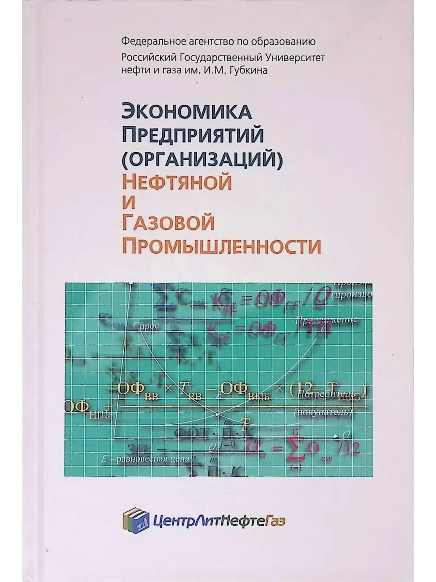 Книга по нефтегазовой промышленности. Экономика нефтяной и газовой промышленности. Экономика предприятия нефтяной и газовой промышленности. Основы нефтегазового дела. Экономика предприятия нефтяной и газовой промышленности.