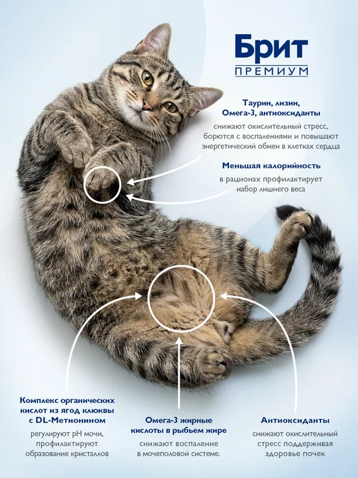 Сухой корм БРИТ ПРЕМИУМ Кошек для собак, стерилизованные, курица, лосось, 2,035 кг, фото 3