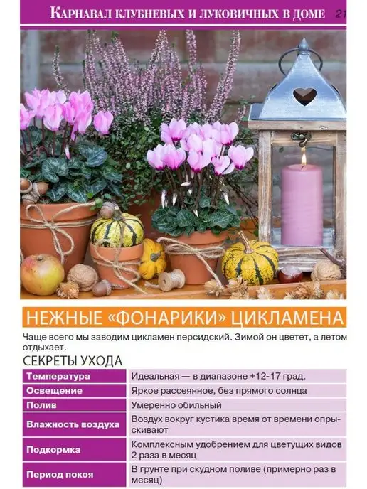 Цветок журнал дом цветов №1 2022 г, 2,022 кг, фото 4