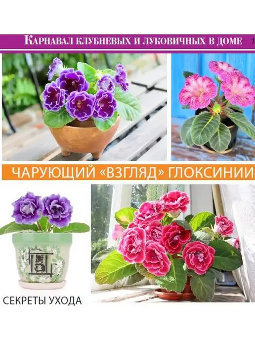 Цветок журнал дом цветов №1 2022 г, 2,022 кг, фото 5