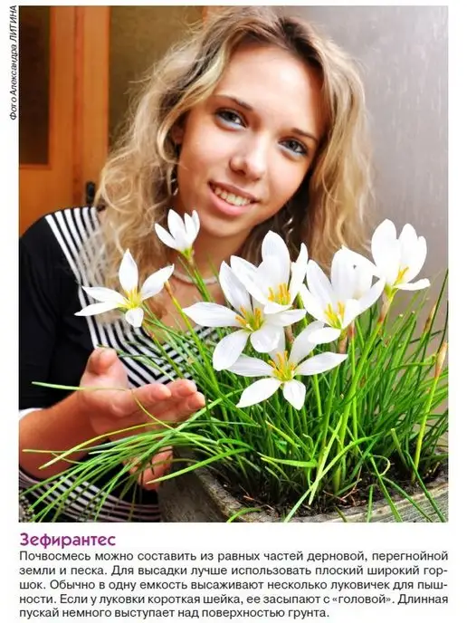 Цветок журнал дом цветов №1 2022 г, 2,022 кг, фото 6