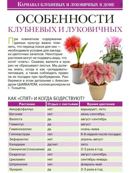 Цветок журнал дом цветов №1 2022 г, 2,022 кг, фото 7
