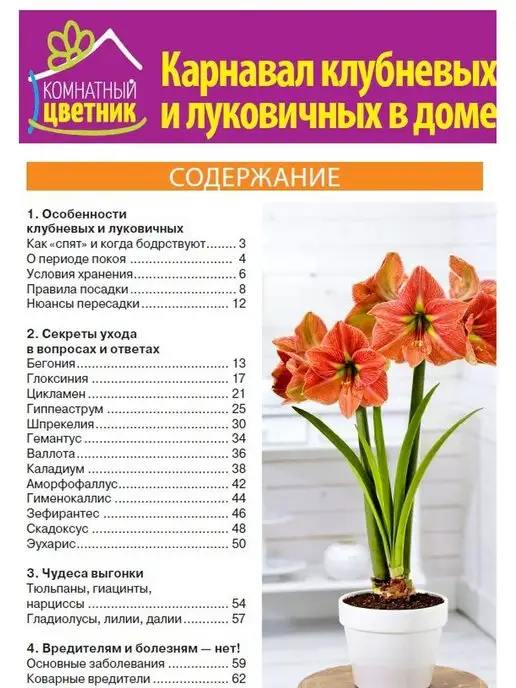 Цветок журнал дом цветов №1 2022 г, 2,022 кг, фото 8