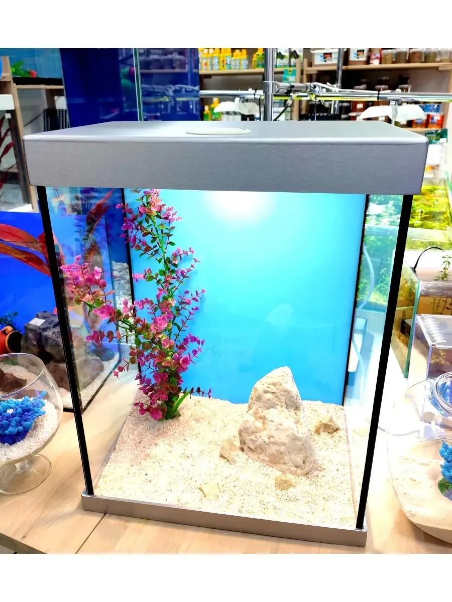 Зоомагазин «Золотая рыбка» в Саратове с большим выбором товаров