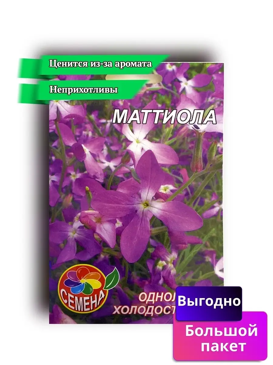 Семена Маттиола Ночная Фиалка 1 шт Агробарин 60146445 купить за 113 ₽ в  интернет-магазине Wildberries