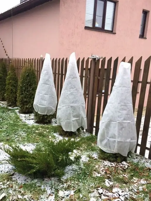 PROTENT Чехол для туи на зиму 100х120 см, укрытие хвойных растений, 100x120 см, фото 7