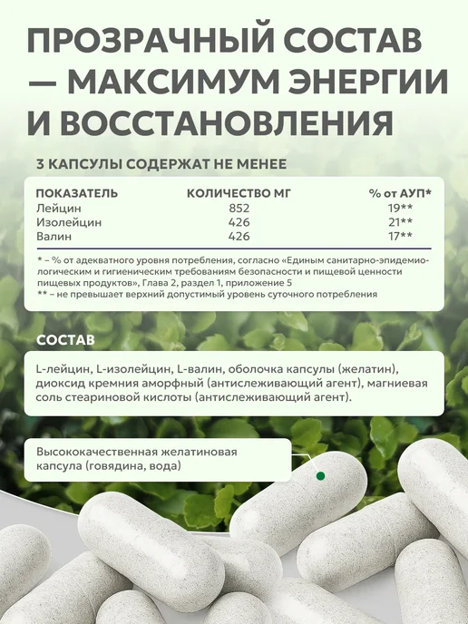 NaturalSupp БЦАА 2 1 1 капсулы, вариант, фото 2