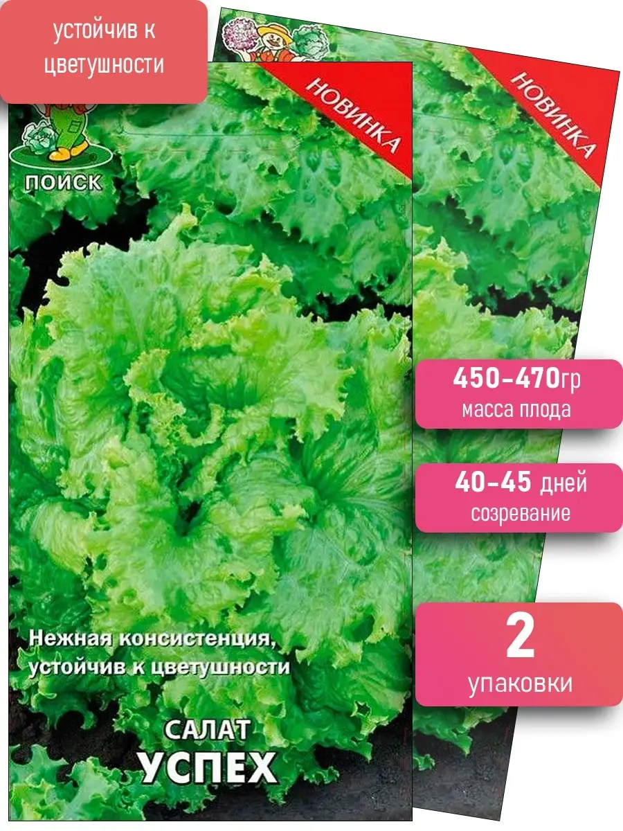 Семена салата Успех