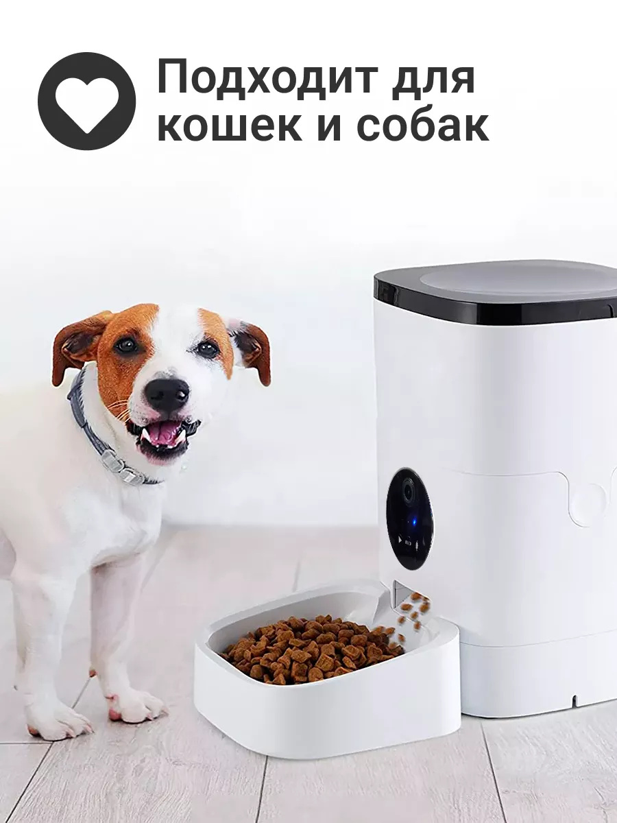 Кормушка автоматическая для кошек и собак Zoowell 60342874 купить за 8 650  ₽ в интернет-магазине Wildberries