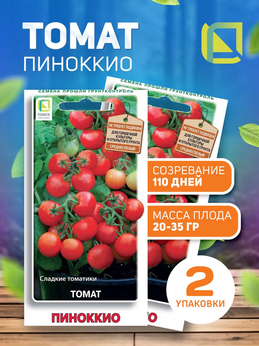 Черничный блюз томат. Семена помидор Пиноккио партнер. Томат Пиноккио характеристика и описание сорта. Набор томатов 5 упаковок. Феня ф1