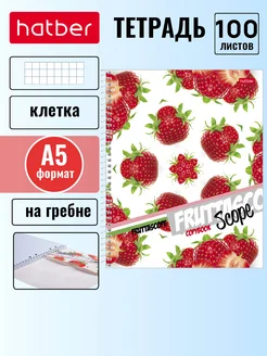 Тетрадь 100 л клетка, обложка с карманом Hatber 60348313 купить за 171 ₽ в интернет-магазине Wildberries