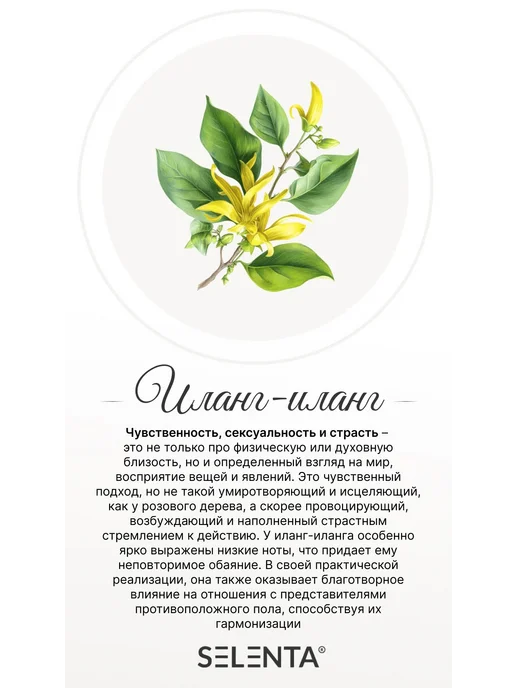 Selenta Эфирное масло Иланг-Иланг Водорастворимое 10мл, 10 мл, фото 2