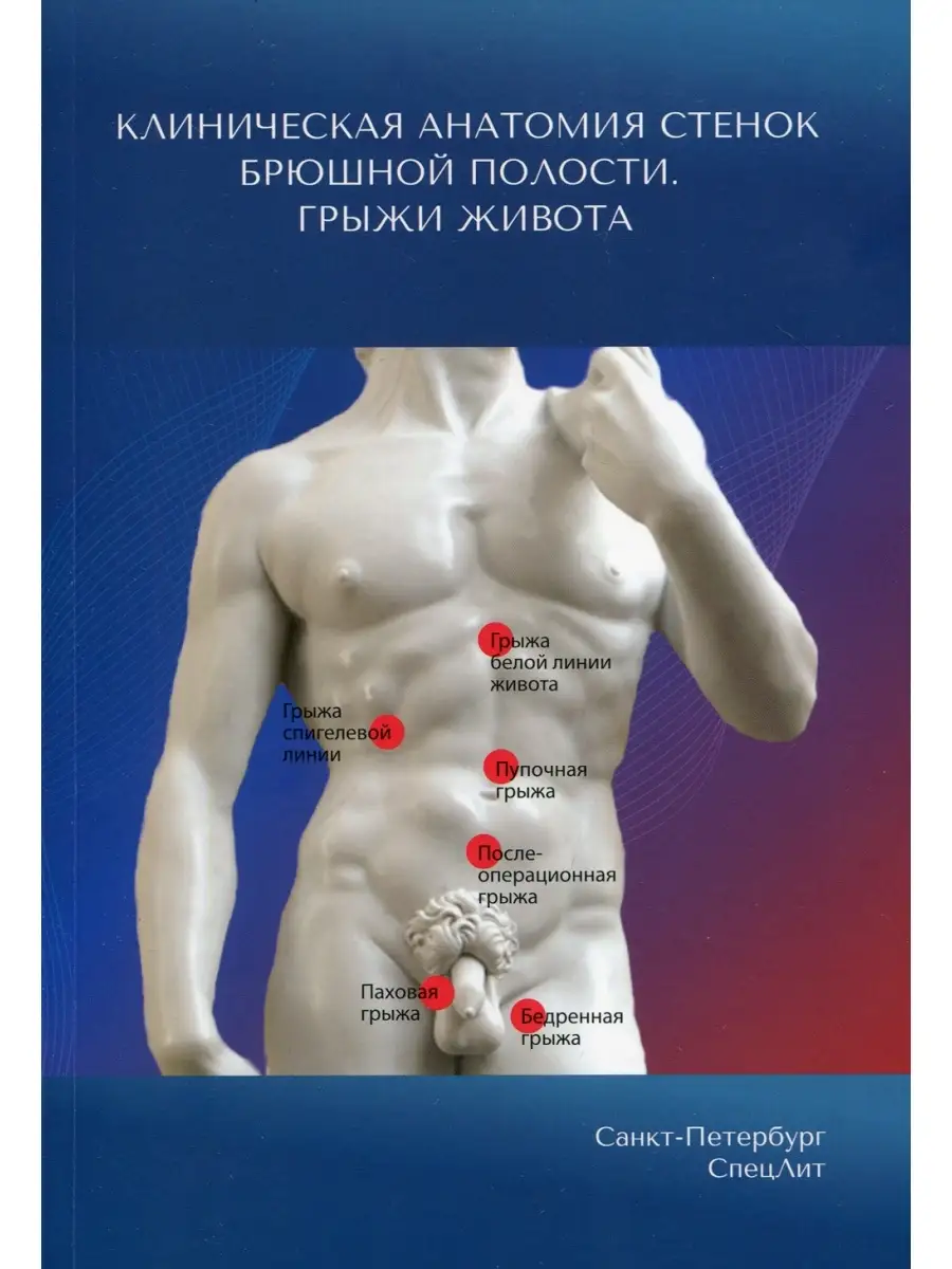 Клиническая анатомия стенок брюшной полости. Грыжи живота СпецЛит 60463106  купить за 568 ₽ в интернет-магазине Wildberries