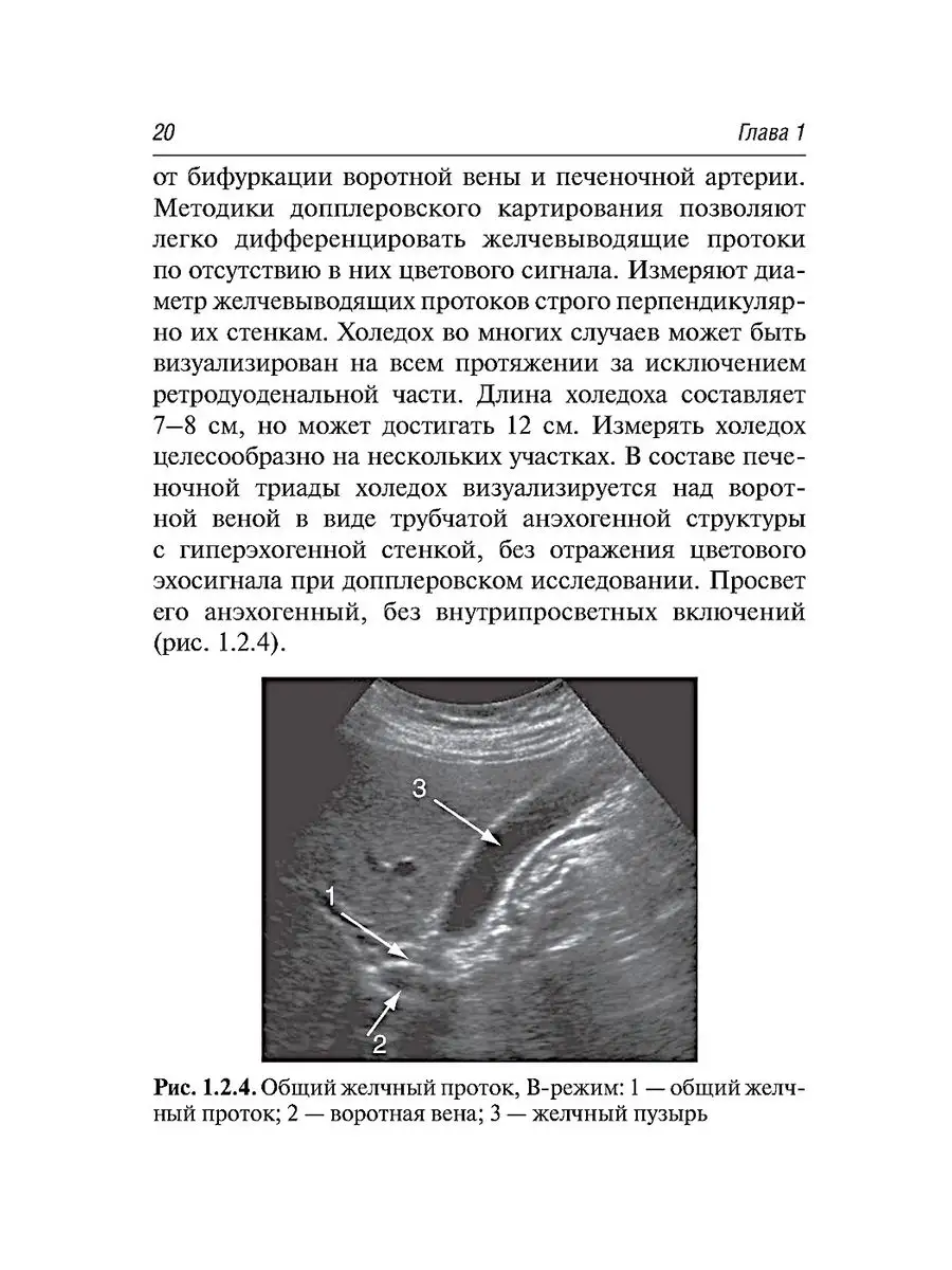 Ультразвуковая диагностика. 3-е изд., испр.и доп ГЭОТАР-Медиа 60472732  купить в интернет-магазине Wildberries