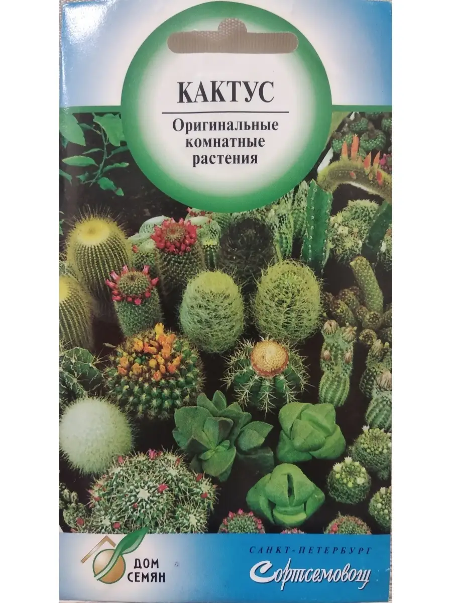 Семена Кактус комнатное растение Крикет смесь, 25 семян 60576547 купить в  интернет-магазине Wildberries