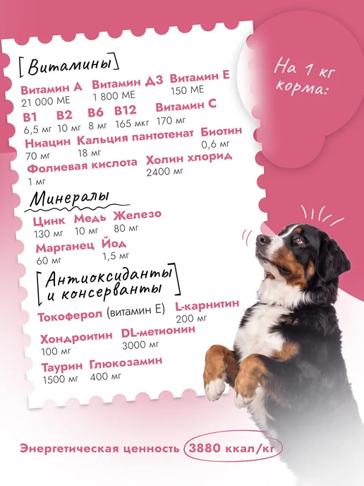 Сухой корм Best dinner Тыква для собак, крупные, телятина, 12 кг, фото 4