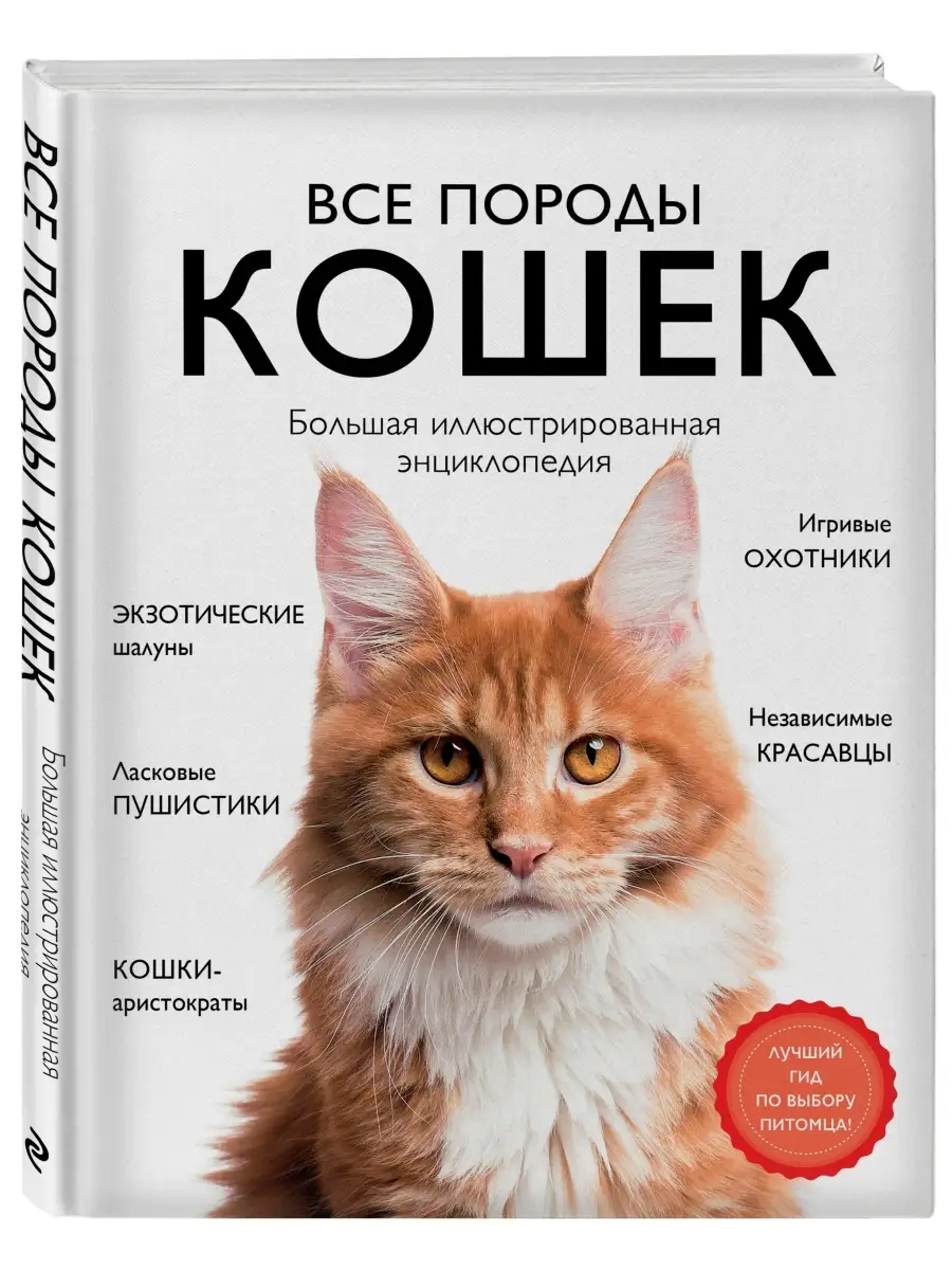 Все породы кошек. Большая иллюстрированная энциклопедия Эксмо 60876306  купить за 1 522 ₽ в интернет-магазине Wildberries