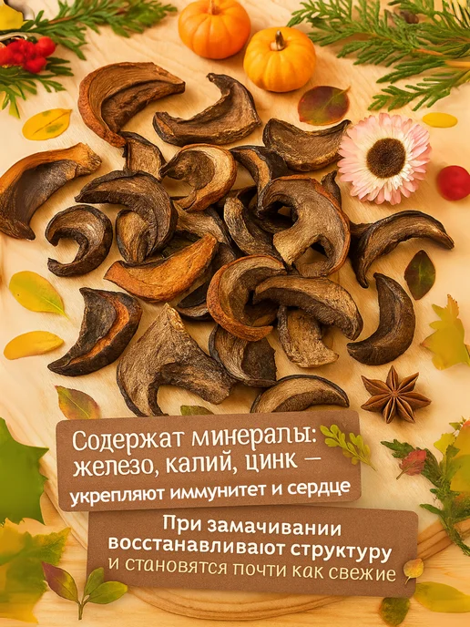 Дикотека Грибы сушеные подосиновики, 100 г, 2026, Алтай, 100 г, фото 2