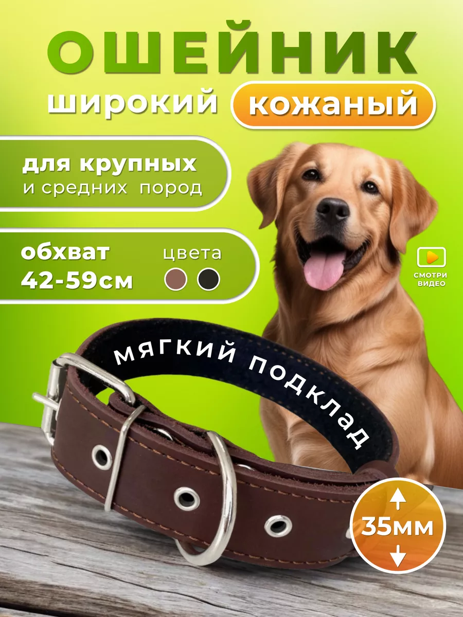 Ошейник для собак Zee.Dog Ultimate Blue, Размер XS