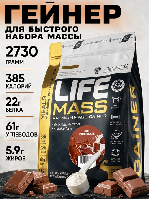 Life Protein Гейнер для быстрого набора массы, Горячий Шоколад 2,7 кг, 2,7 кг