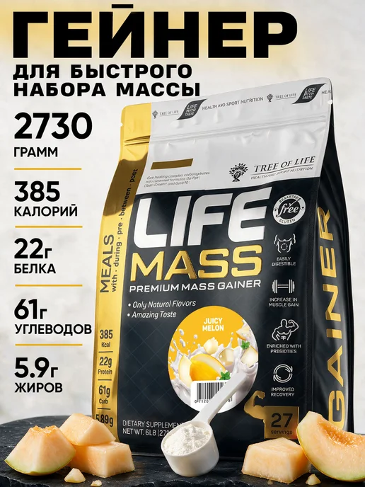 Life Protein Гейнер для быстрого набора массы, Дыня 1кг, 2,7 кг
