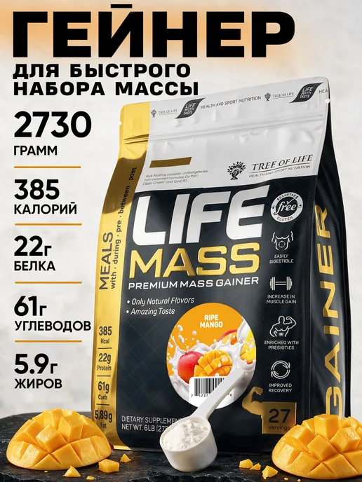 Life Protein Гейнер для быстрого набора массы, Манго 1кг, 2,7 кг