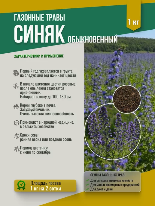 МосАгроГрупп Семена Синяк обыкновенный 1кг медонос, 1 кг, фото 2
