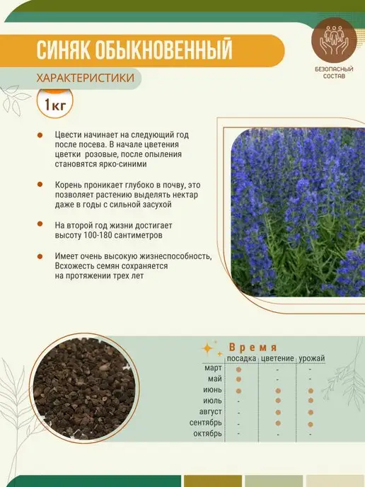 МосАгроГрупп Семена Синяк обыкновенный 1кг медонос, 1 кг, фото 6